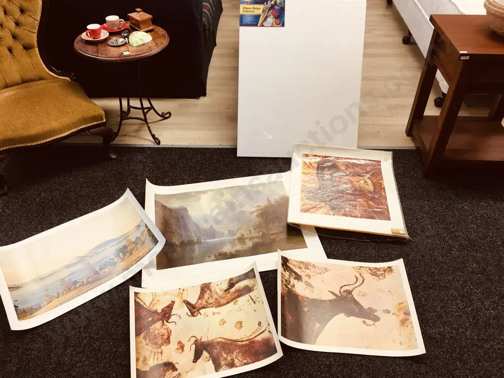 Lot of 5 Canadian & NZ Art Prints & 24 x 30" Acid Free Art Board Image 1++