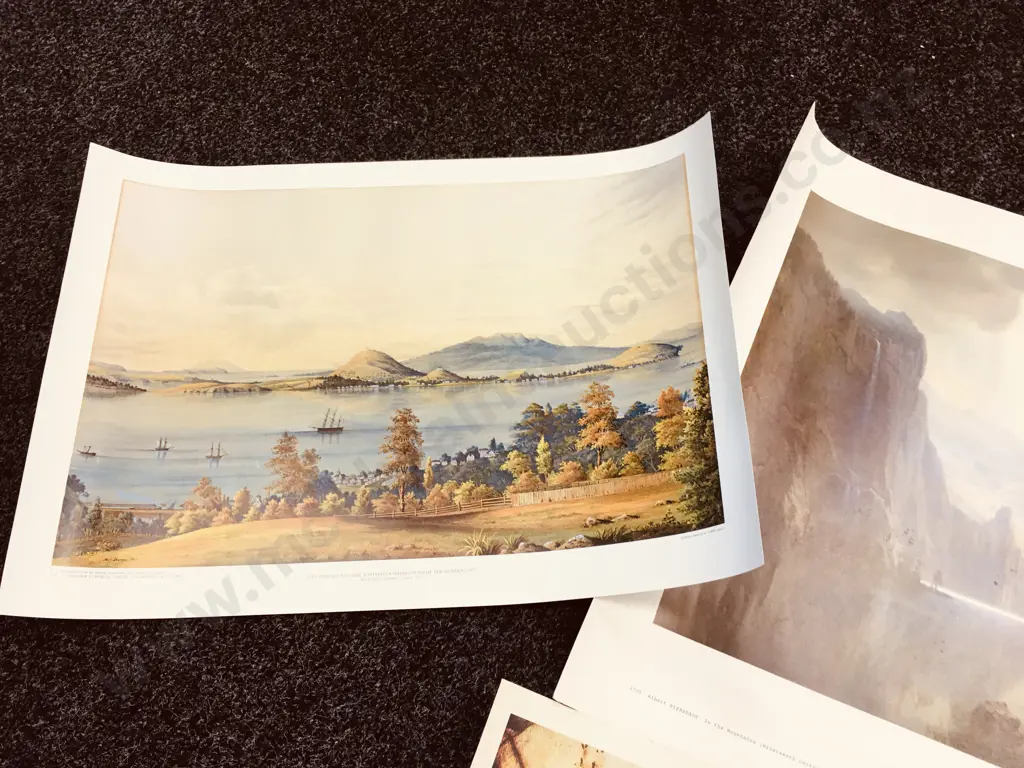 Lot of 5 Canadian & NZ Art Prints & 24 x 30" Acid Free Art Board Image 1++