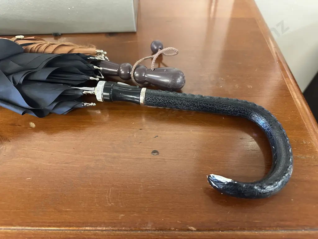 Filemaster Metal Personal Filer With Key (Rivet On Latch Broken) & Two Umbrellas Image 1++