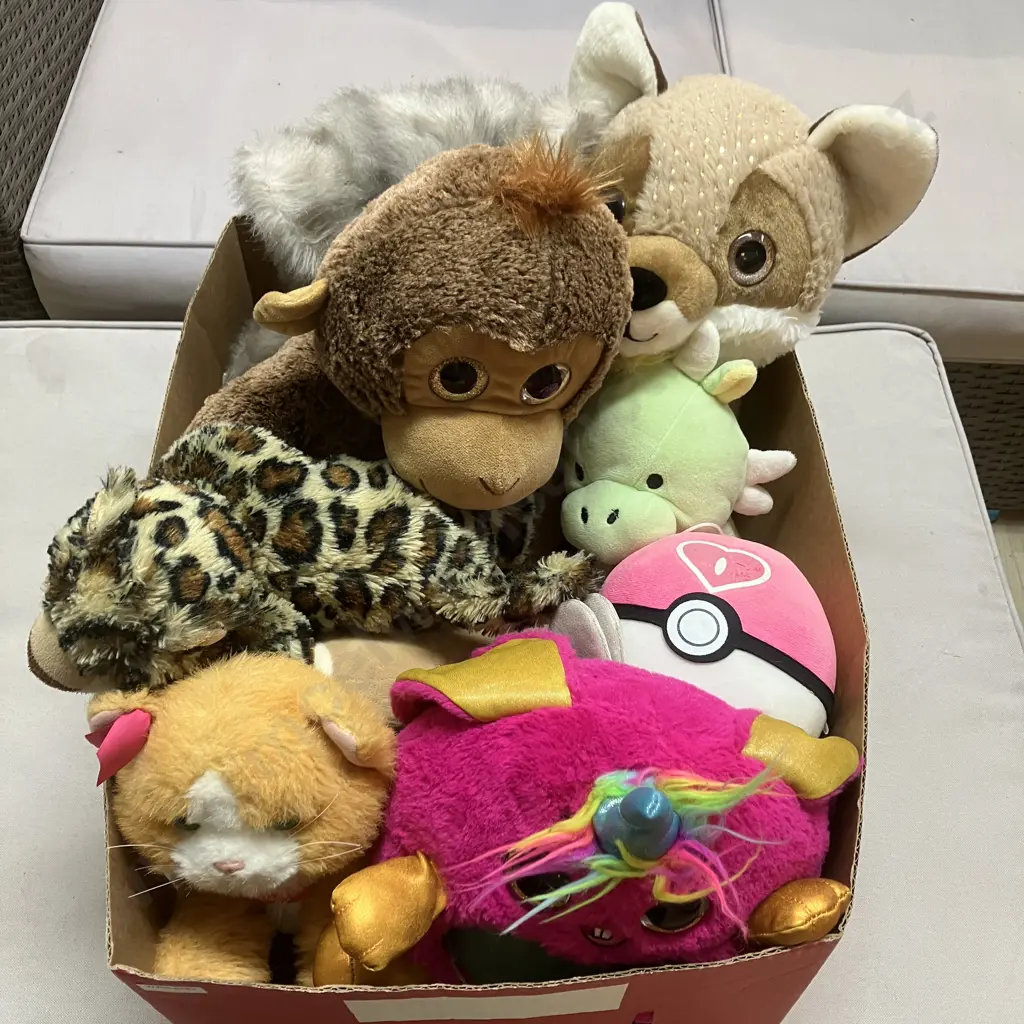 Box Lot Assorted Soft Toys Image 1++
