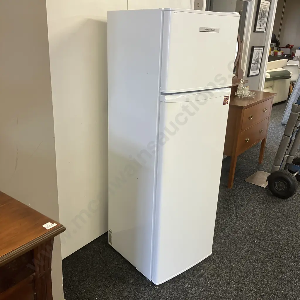 Fisher & Paykel E249T 248 Litre Fridge Freezer, #LIF120266 Image 1++