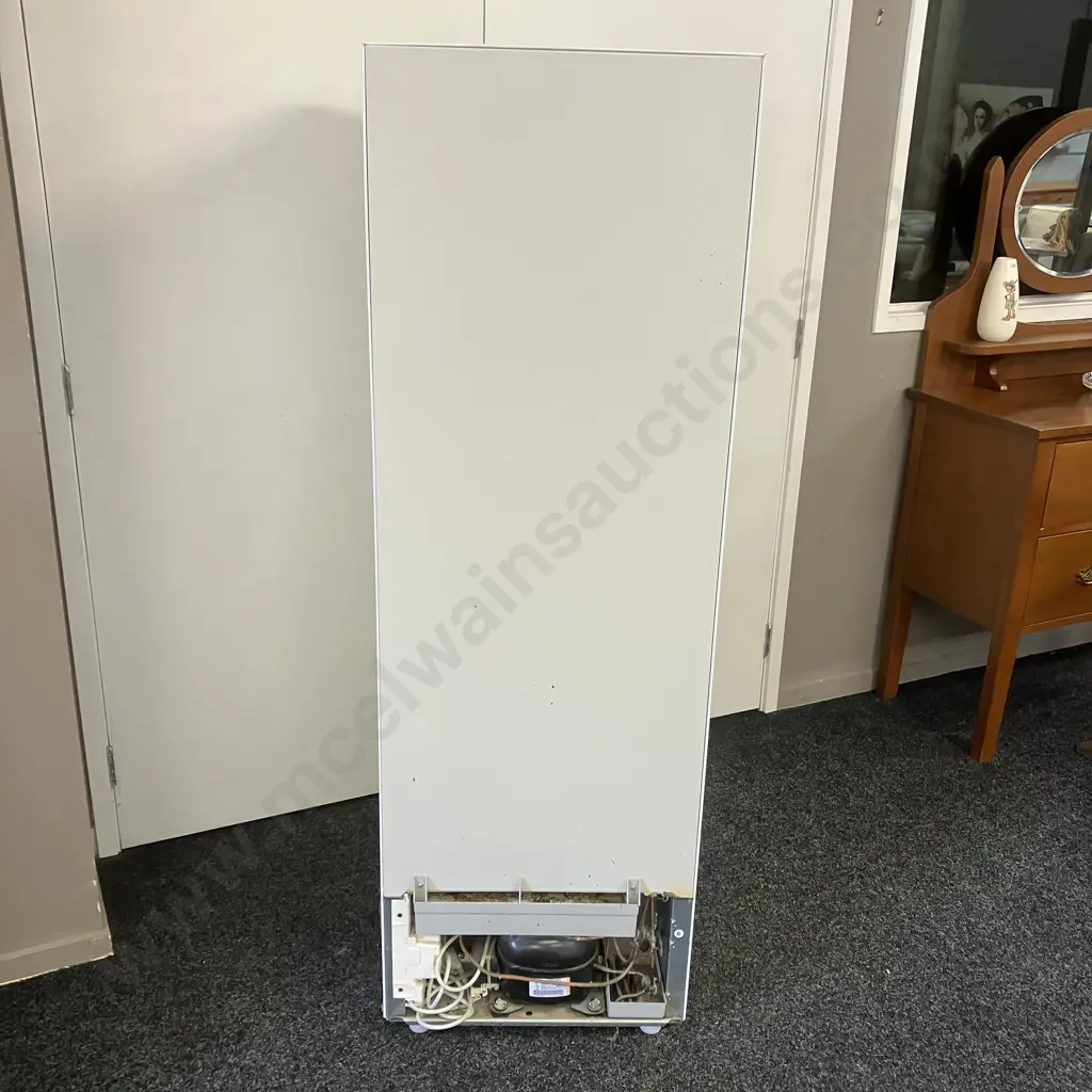 Fisher & Paykel E249T 248 Litre Fridge Freezer, #LIF120266 Image 1++