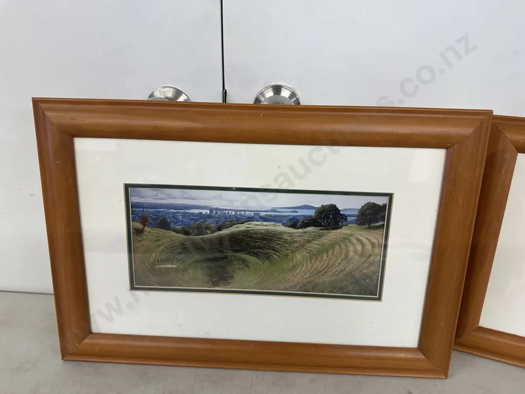 Janet Bothner-By Rimu Framed Art Prints - The Crater At Mount Eden NZ 35 x 52cm & Untitled Landscape. 33 x 54cm Image 1++