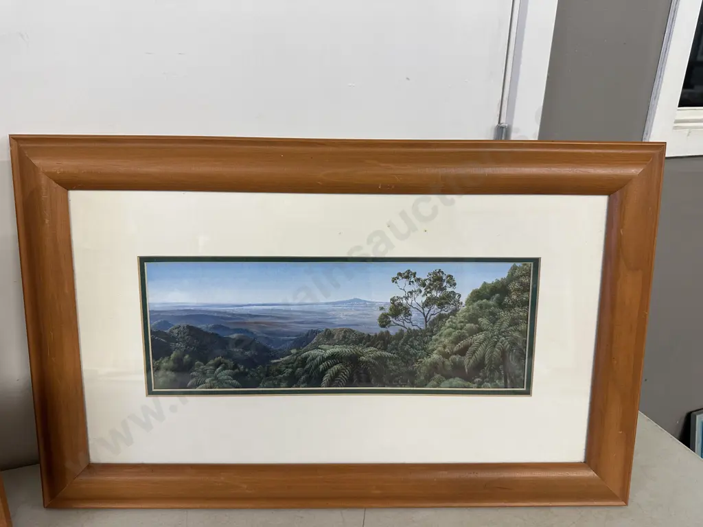 Janet Bothner-By Rimu Framed Art Prints - The Crater At Mount Eden NZ 35 x 52cm & Untitled Landscape. 33 x 54cm Image 1++