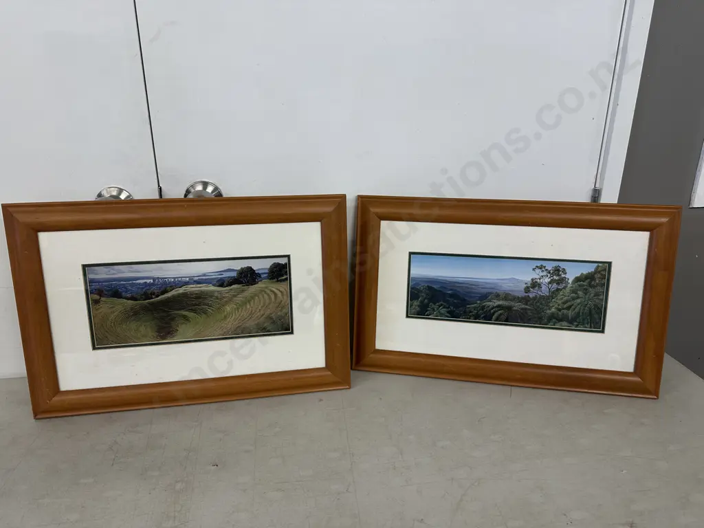 Janet Bothner-By Rimu Framed Art Prints - The Crater At Mount Eden NZ 35 x 52cm & Untitled Landscape. 33 x 54cm Image 1++