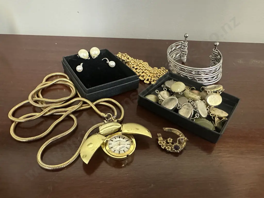 Assorted Vintage Costume Jewellery Including Horse Shoe Floral Brooch, Drimex Necklace Watch, Earings Etc Image 1++