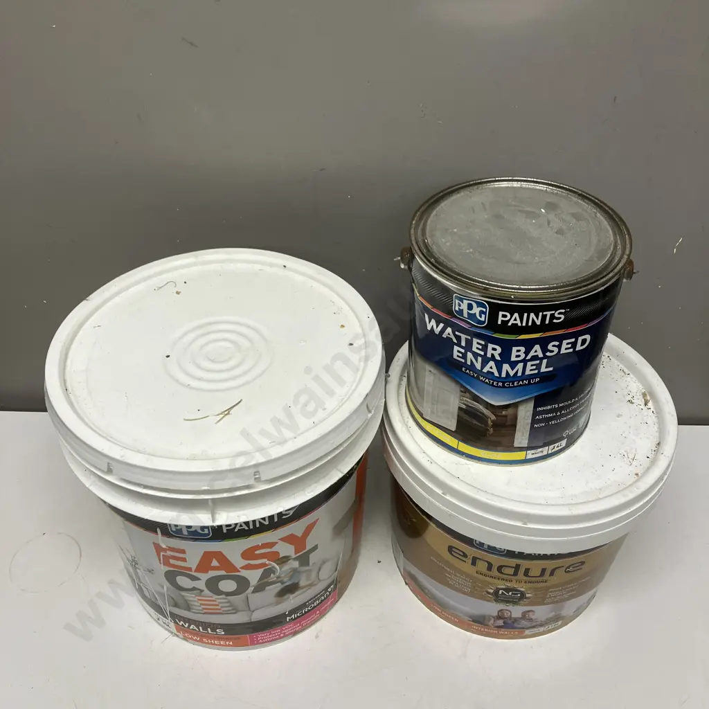 PPG Paints Assorted White x 3 Image 1++