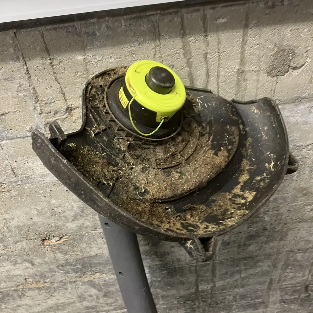 Ryobi EasyEdge Corded Line Trimmer Image 1++
