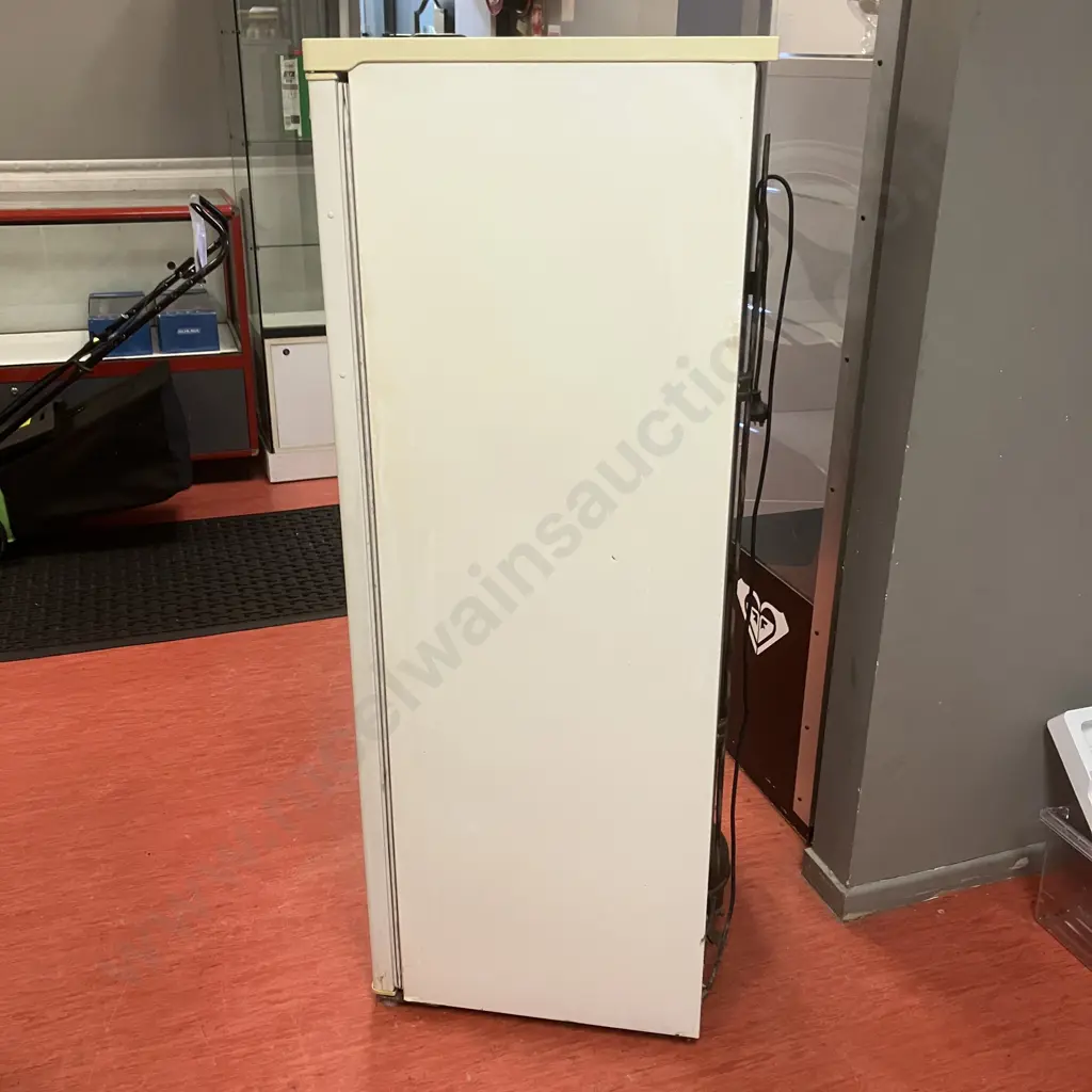 Telmann 180 Litre Upright Freezer - Model HS-Z41FN Image 1++