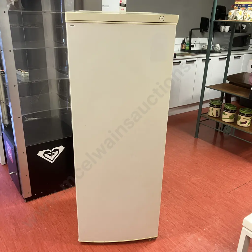 Telmann 180 Litre Upright Freezer - Model HS-Z41FN Image 1++