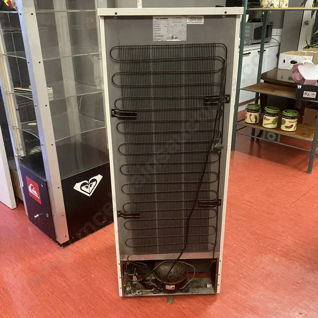 Telmann 180 Litre Upright Freezer - Model HS-Z41FN Image 1++