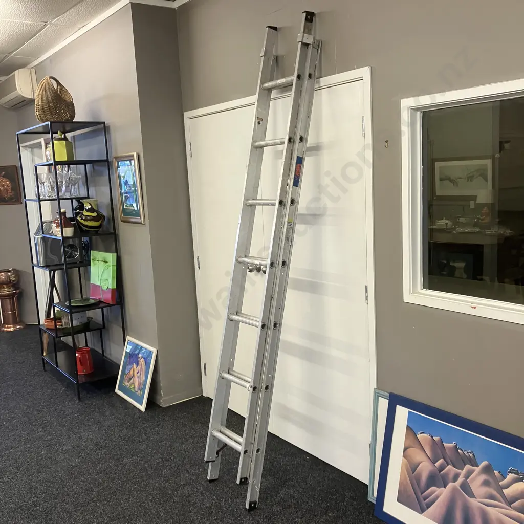 Rhino Domestic Extension Ladder - 2.4m to 3.9m, 100Kg Image 1++