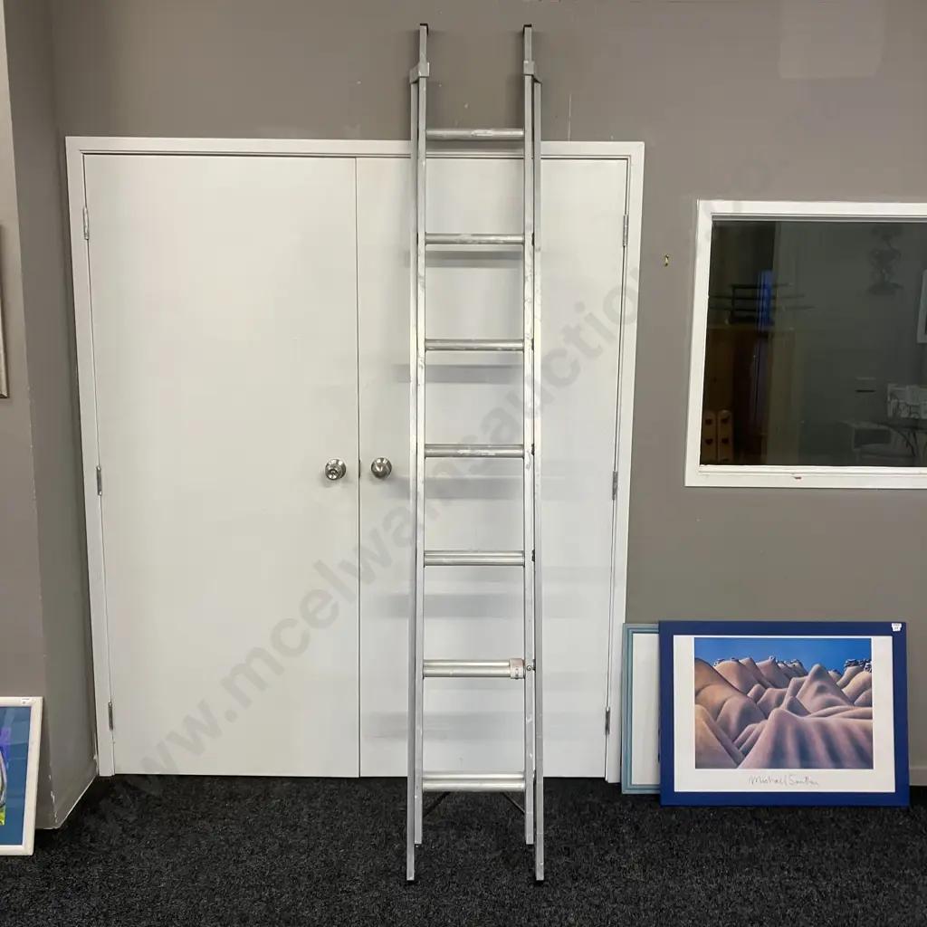 Rhino Domestic Extension Ladder - 2.4m to 3.9m, 100Kg Image 1++