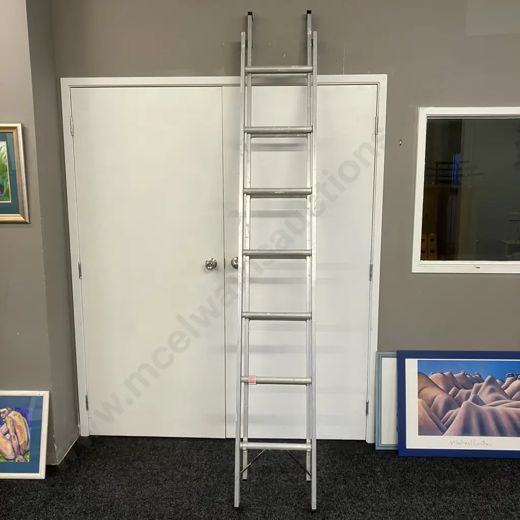 Rhino Domestic Extension Ladder - 2.4m to 3.9m, 100Kg Image 1++