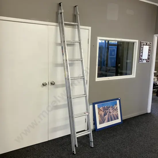 Rhino Domestic Extension Ladder - 2.4m to 3.9m, 100Kg