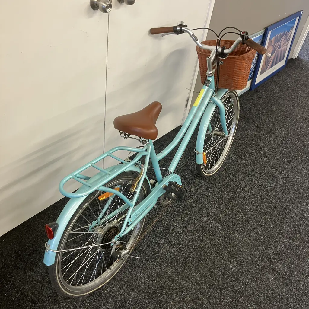 Paris Vintage Cruiser Egg Blue Colour Image 1++
