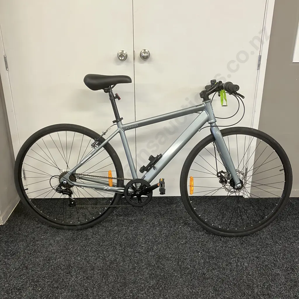 Silver Colour Copenhagen Bike Image 1++