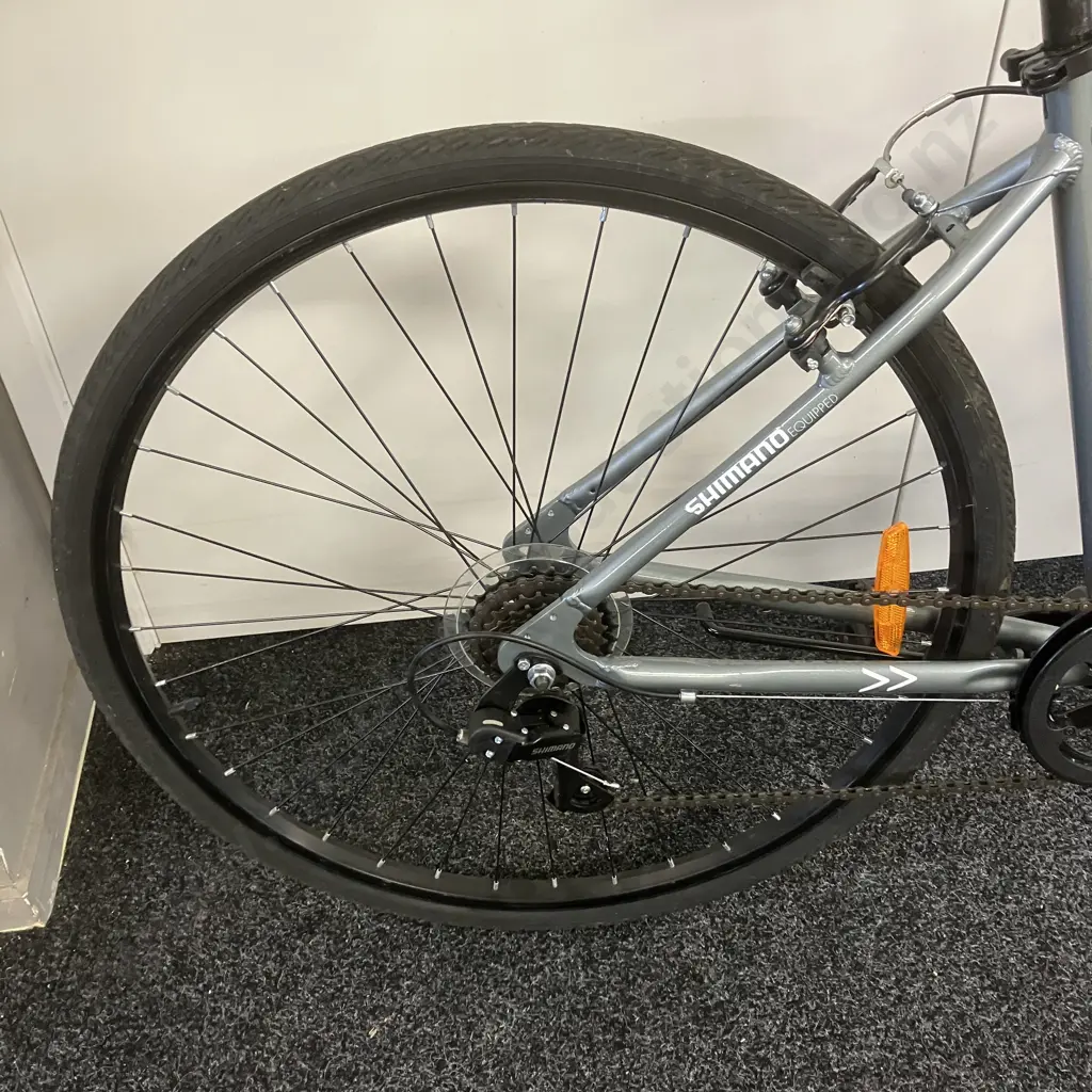 Silver Colour Copenhagen Bike Image 1++