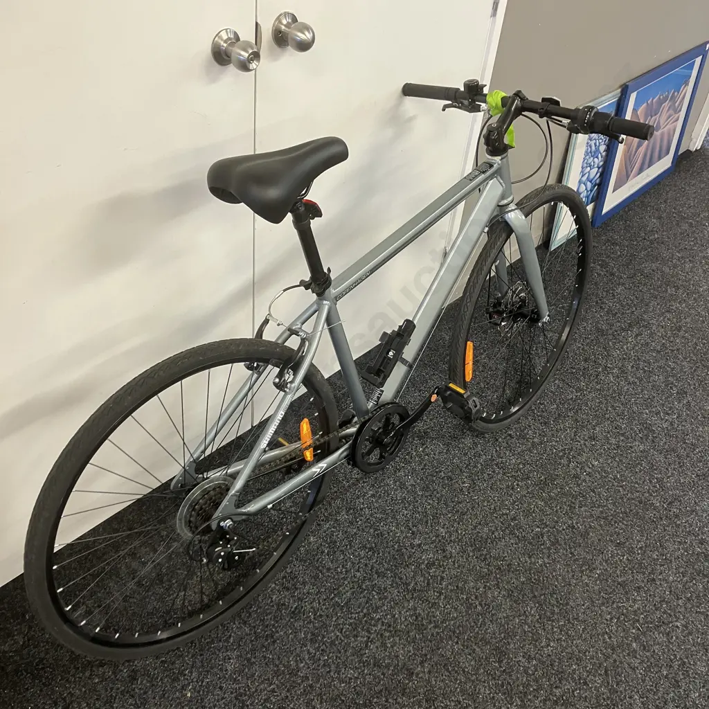 Silver Colour Copenhagen Bike Image 1++