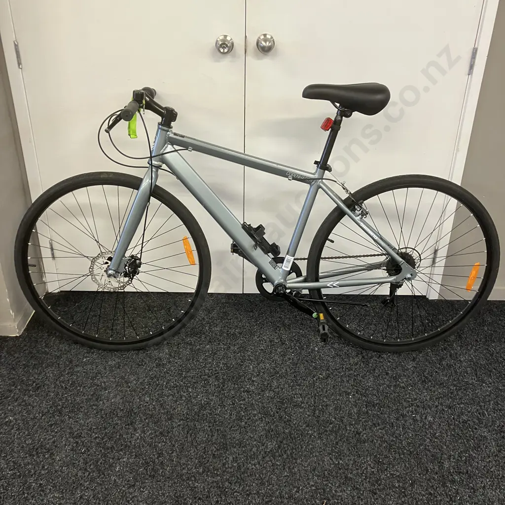 Silver Colour Copenhagen Bike Image 1++