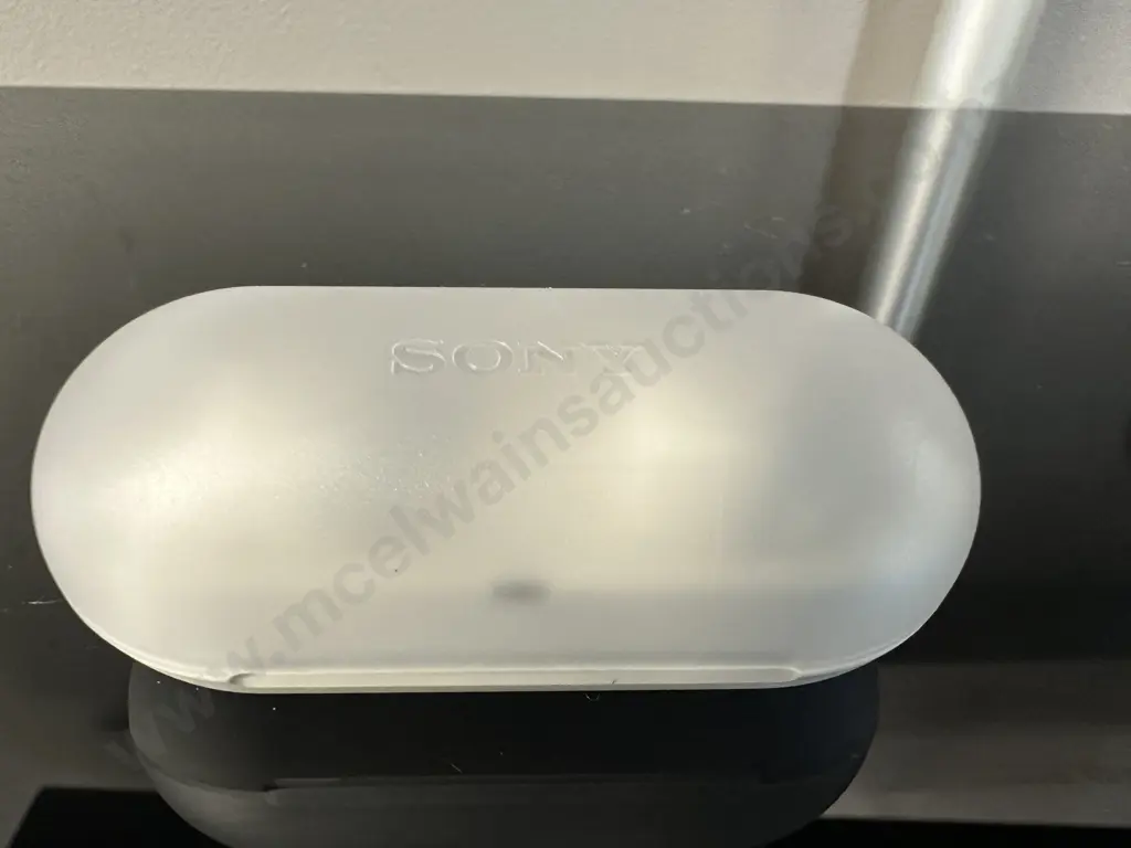 Sony Truly Blue Tooth Wireless Earbuds W-FC500 Image 1++