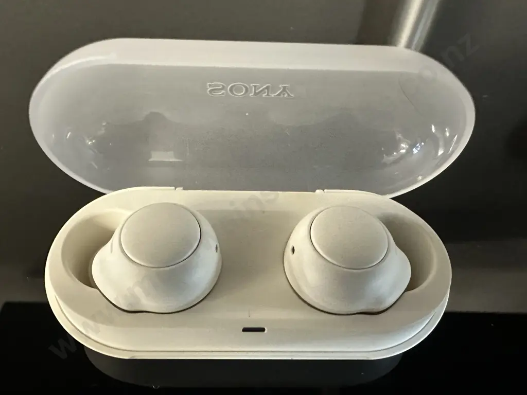 Sony Truly Blue Tooth Wireless Earbuds W-FC500 Image 1++