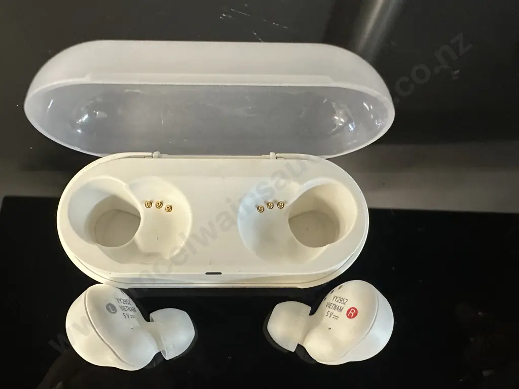 Sony Truly Blue Tooth Wireless Earbuds W-FC500 Image 1++