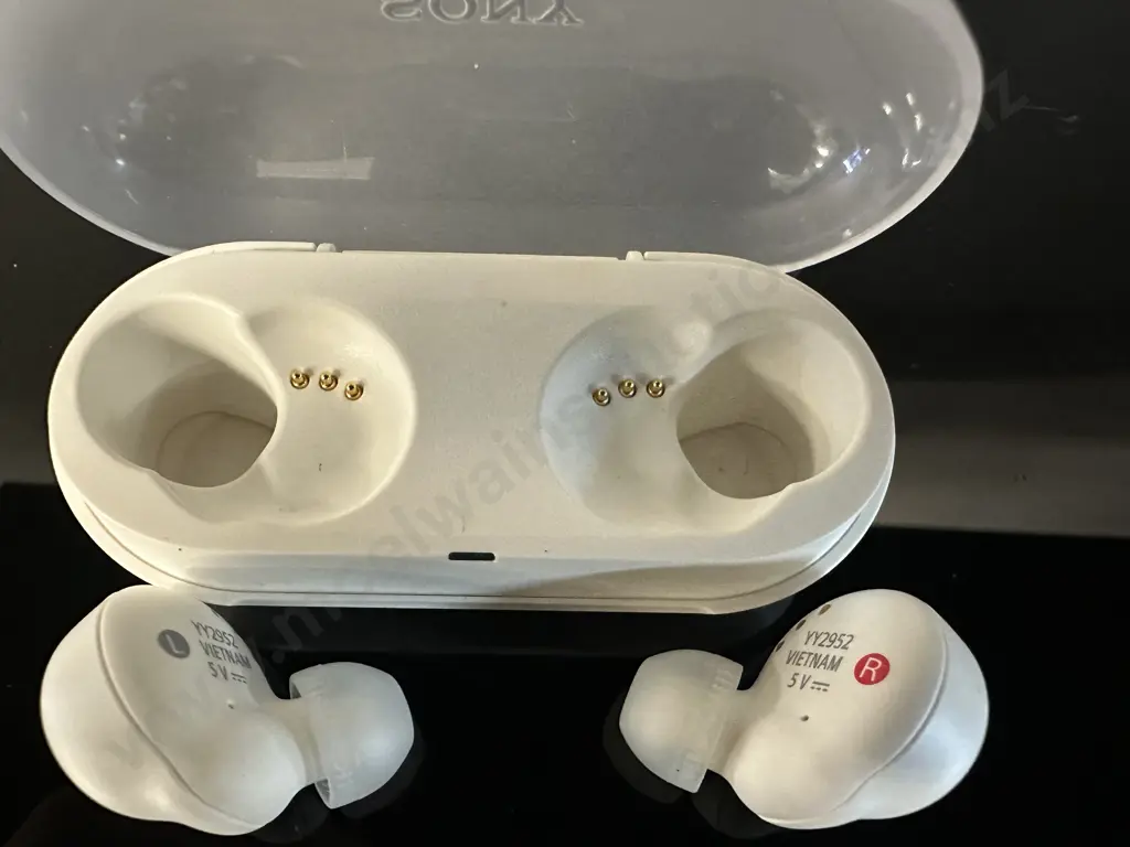 Sony Truly Blue Tooth Wireless Earbuds W-FC500 Image 1++