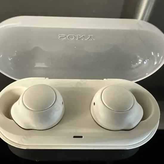Sony Truly Blue Tooth Wireless Earbuds W-FC500