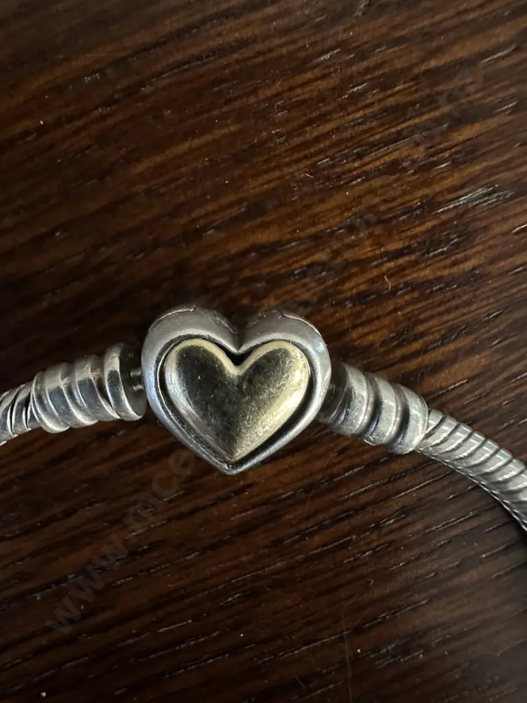 Pandora Bracelet With Assorted Charms Some Stamped 925 Image 1++