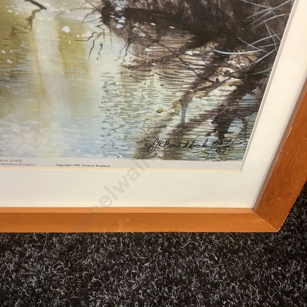 "Sparkling Morning" by Graham Braddock Framed Handsigned Limited Edition 087/650. 49 x 57cm Image 1++