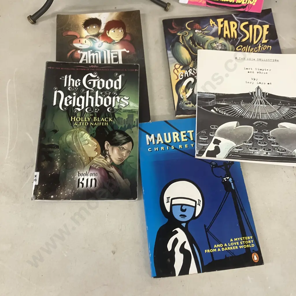 Maus A Survivors Tale, The Amazing Joy Buzzards, Zombigami, Zoom & Re Zoom, Gary Larson's Books Etc Image 1++