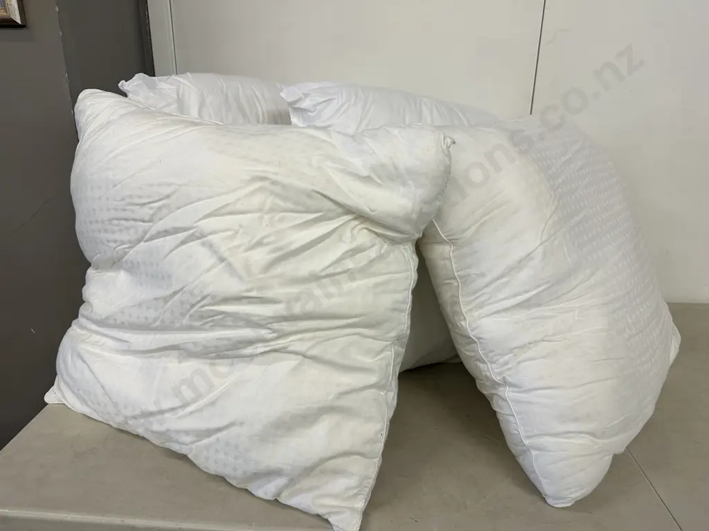 Selection Of Euro Cushions Including Fairy Down Etc Image 1++