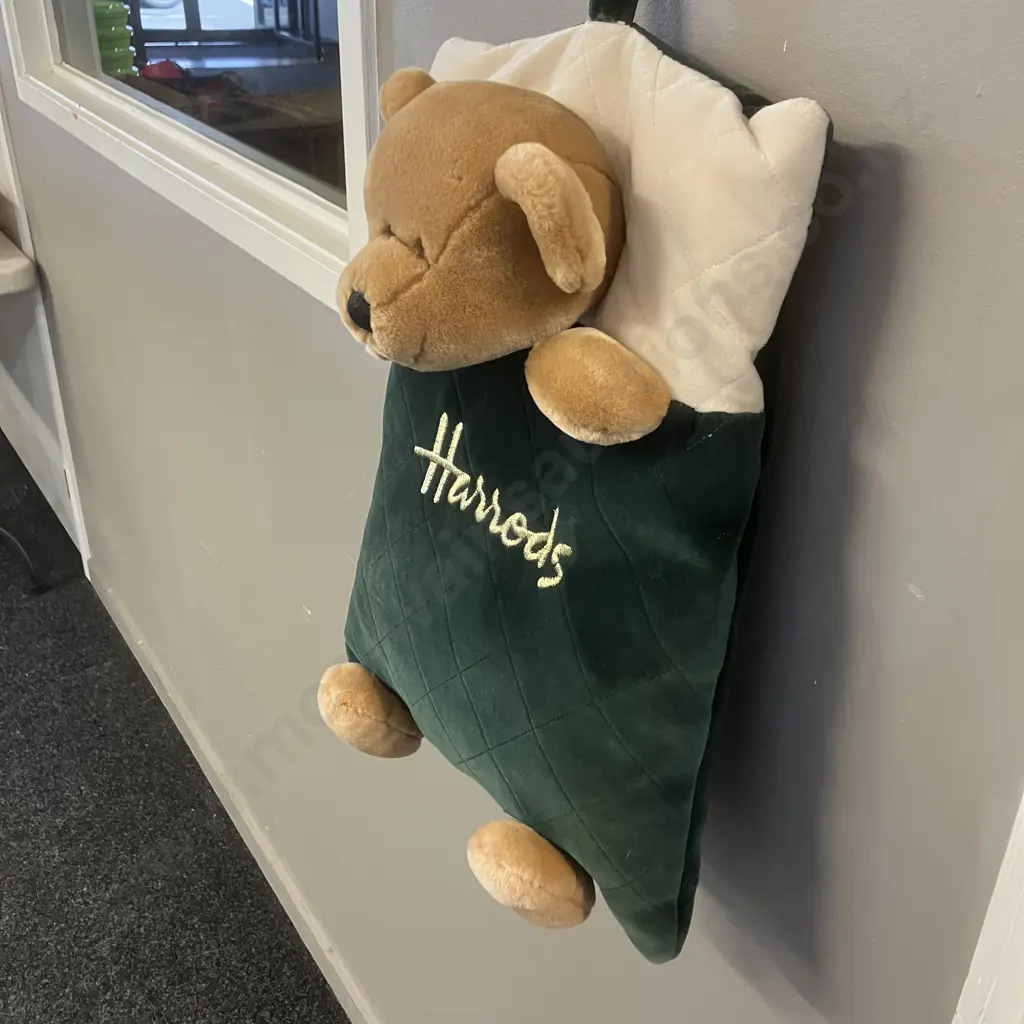 Harrods Plush Teddy Bear Pyjama Case - Green & Gold Image 1++
