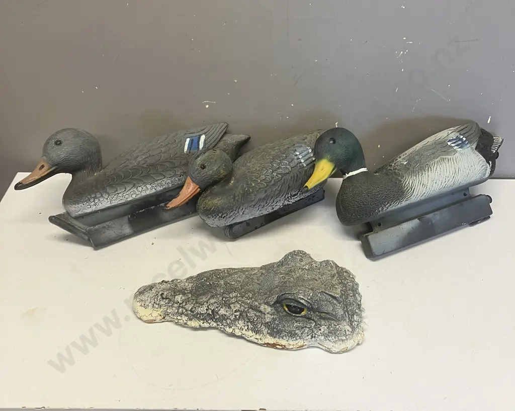 Floating Crocodile Head For Garden Pond. 33 x 16cm (As Found) With 3 Floating Duck Decoys Image 1++