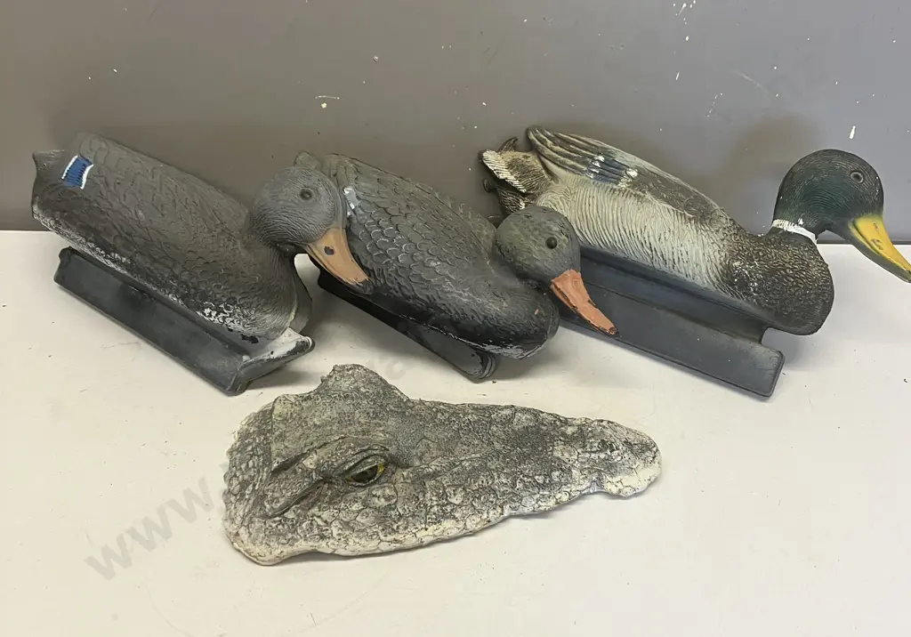 Floating Crocodile Head For Garden Pond. 33 x 16cm (As Found) With 3 Floating Duck Decoys Image 1++