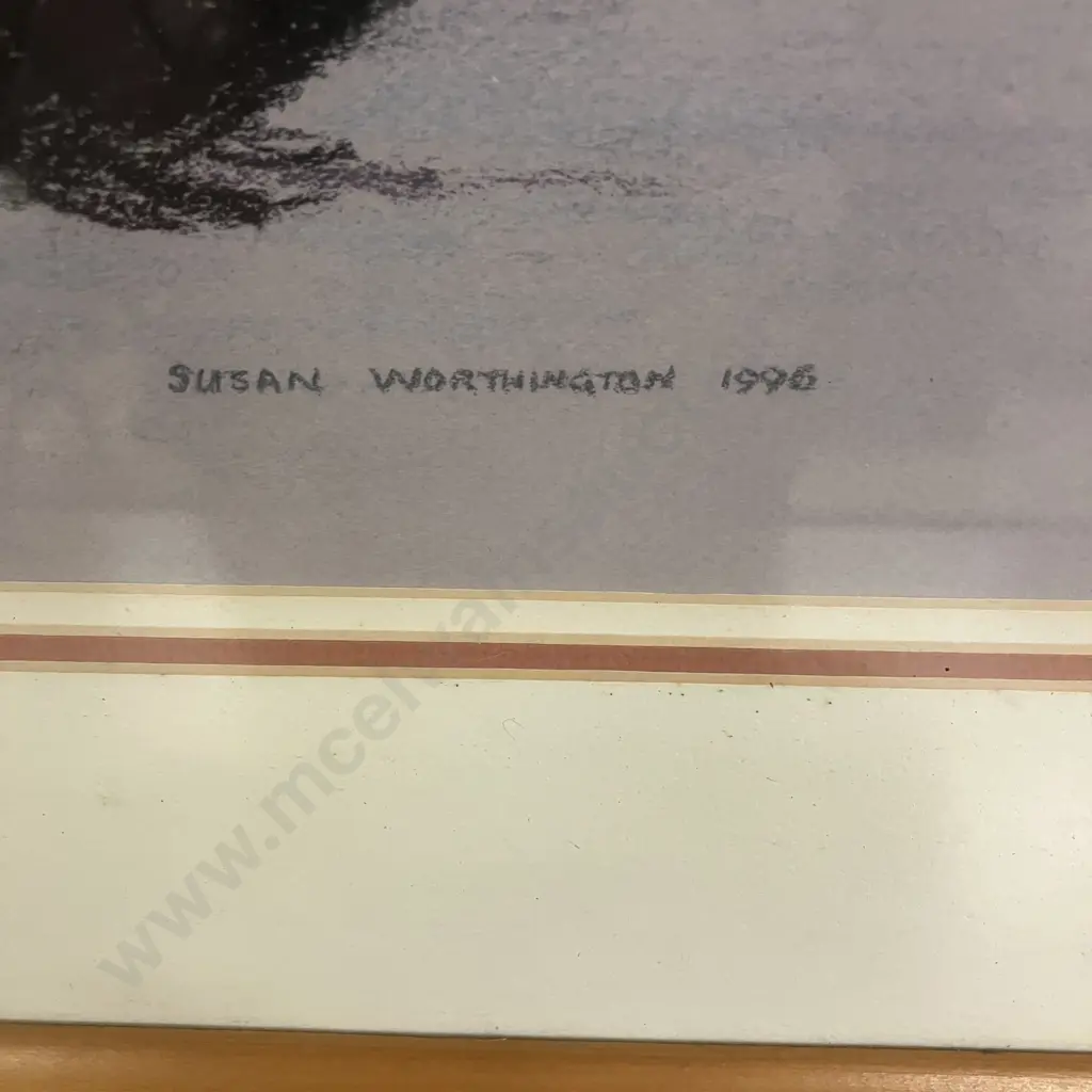 Susan Worthington 1996 Framed Bantam Print In Rimu Frame. 48 x 86cm Image 1++