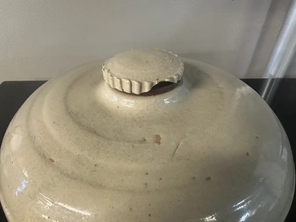 Stoneware Hot Water Bottle. Dia 23cm Vintage Conditon (af) Image 1++