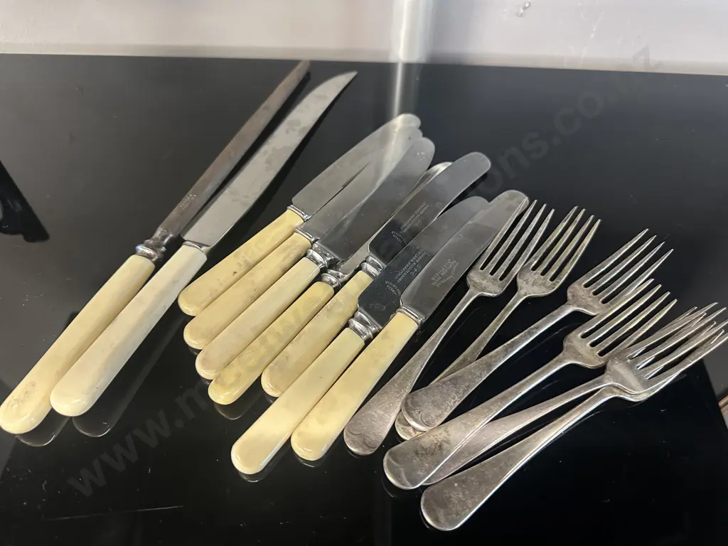 Bone Handled Knives, Forks With Sharpening Steel Image 1++