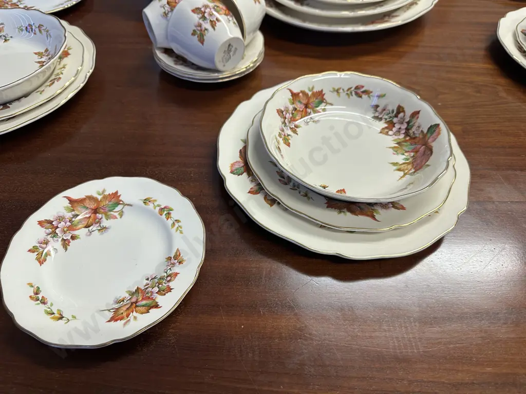 Royal Doulton Dinner Set Wilton Pattern #D6226 The Autumn/Fall Leaves Service For Six Including Serving Dishes Etc  Image 1++