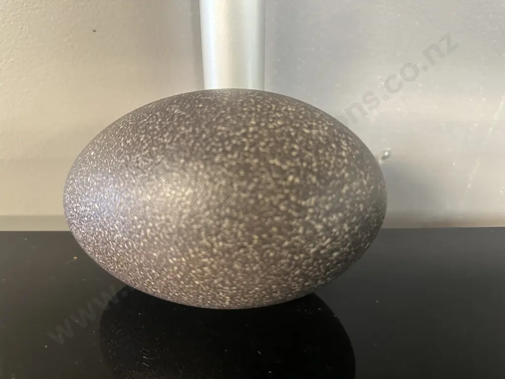 Vintage Emu Egg Image 1++