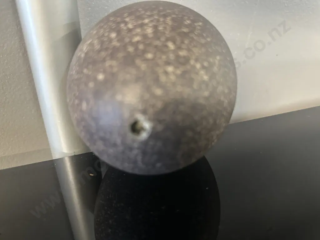 Vintage Emu Egg Image 1++