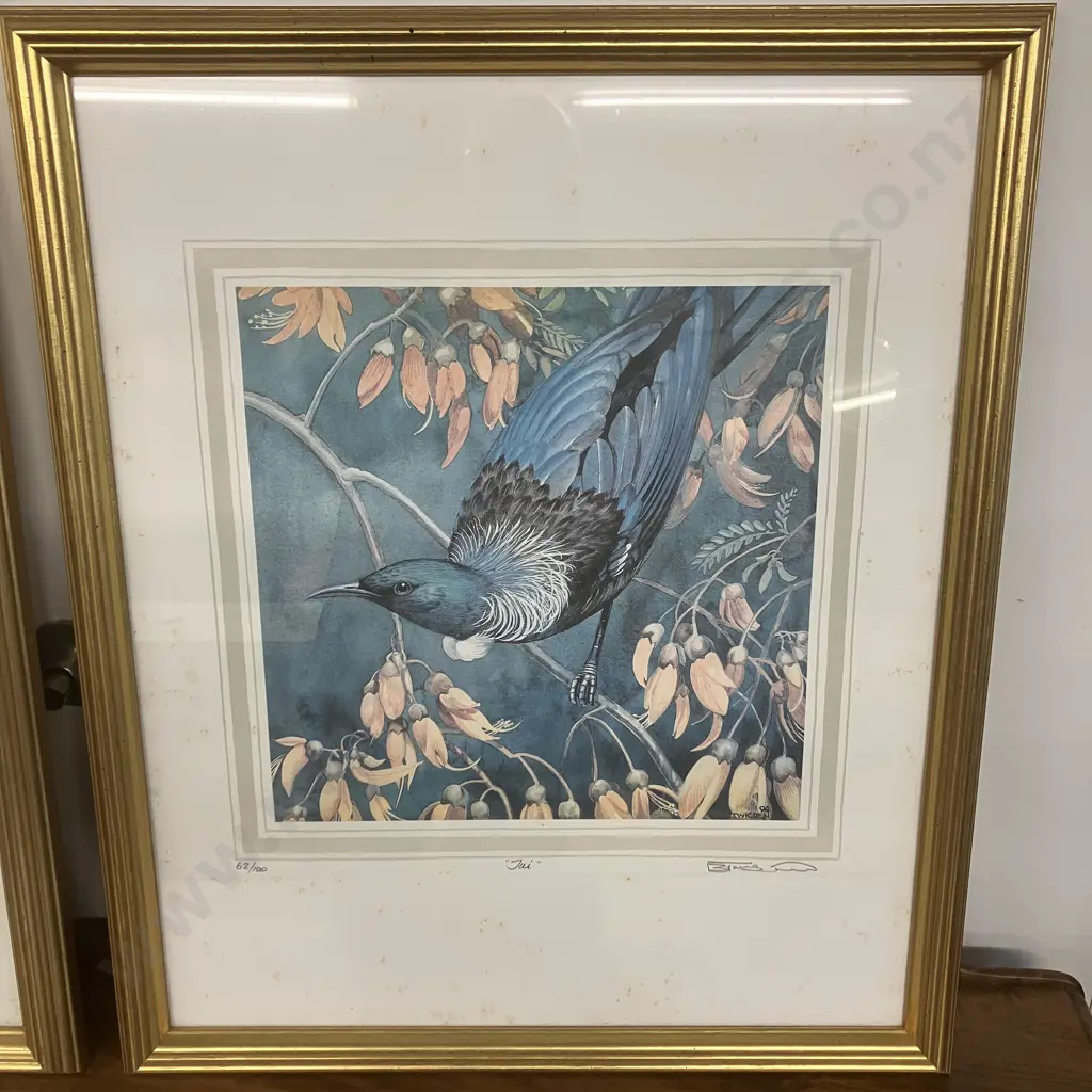 Blake Twigden "Tui" 62/100 & "Saddleback" 48/100 Limited Edition Signed Framed Prints. 65 x 54cm Image 1++