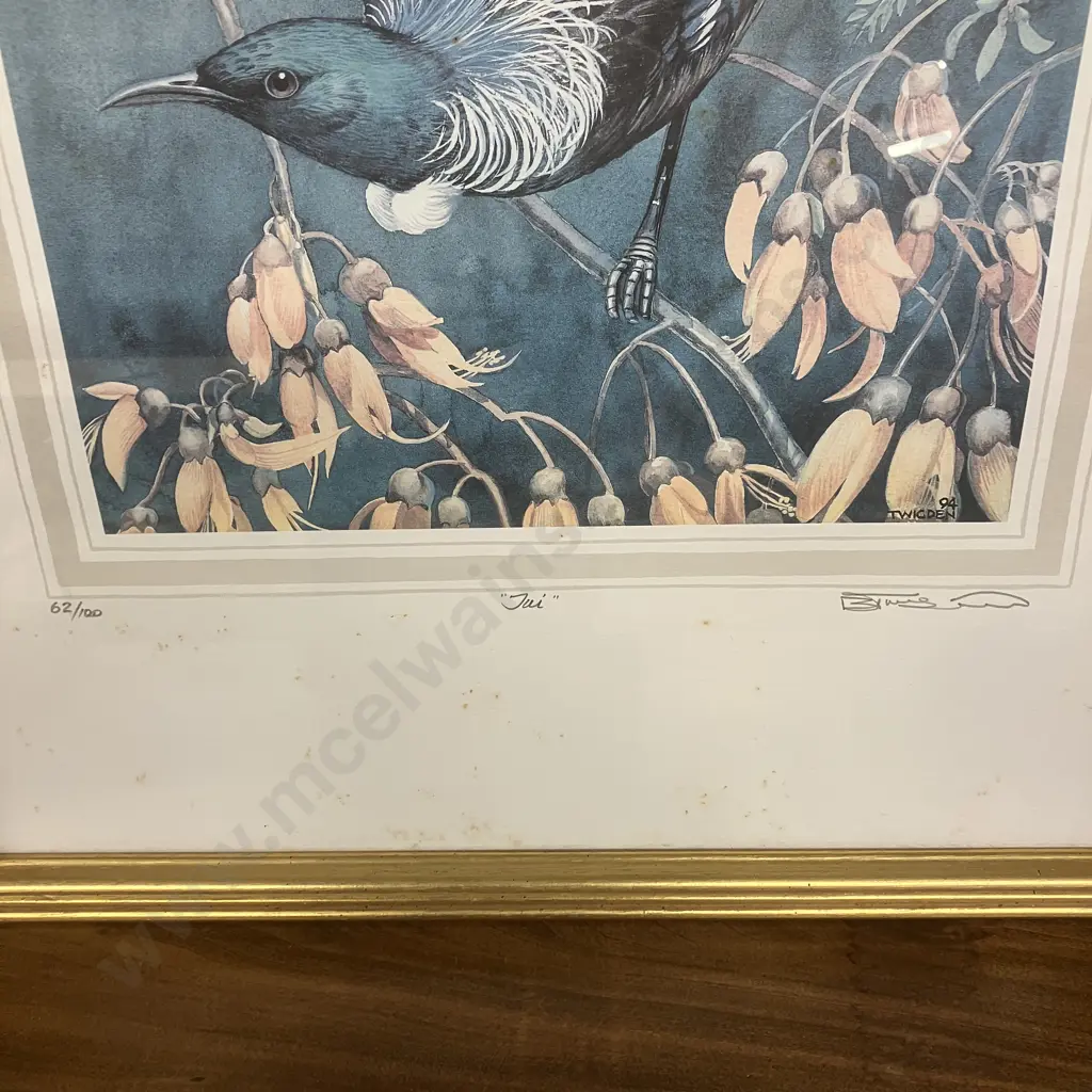 Blake Twigden "Tui" 62/100 & "Saddleback" 48/100 Limited Edition Signed Framed Prints. 65 x 54cm Image 1++