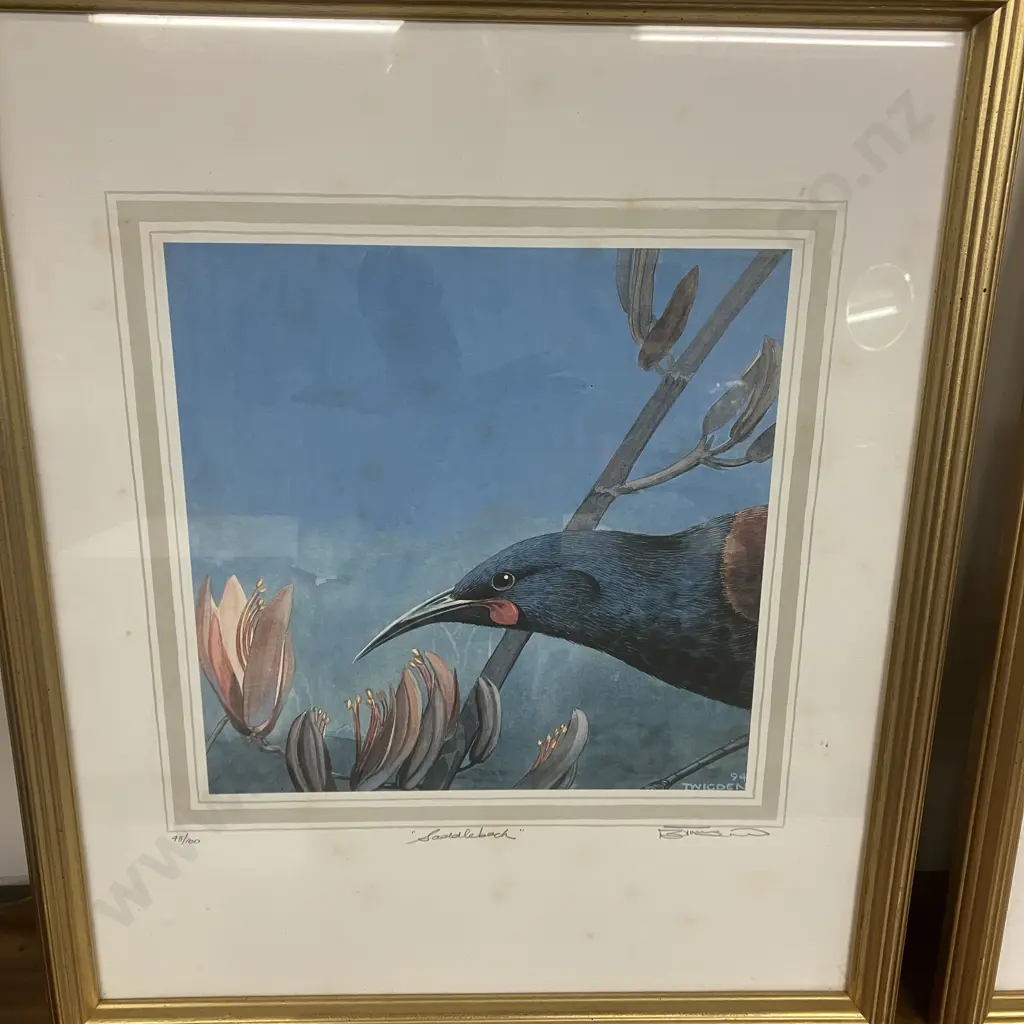 Blake Twigden "Tui" 62/100 & "Saddleback" 48/100 Limited Edition Signed Framed Prints. 65 x 54cm Image 1++