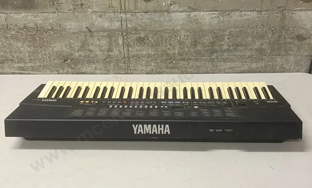 Yamaha Electronic Keyboard PSR-210 Image 1++