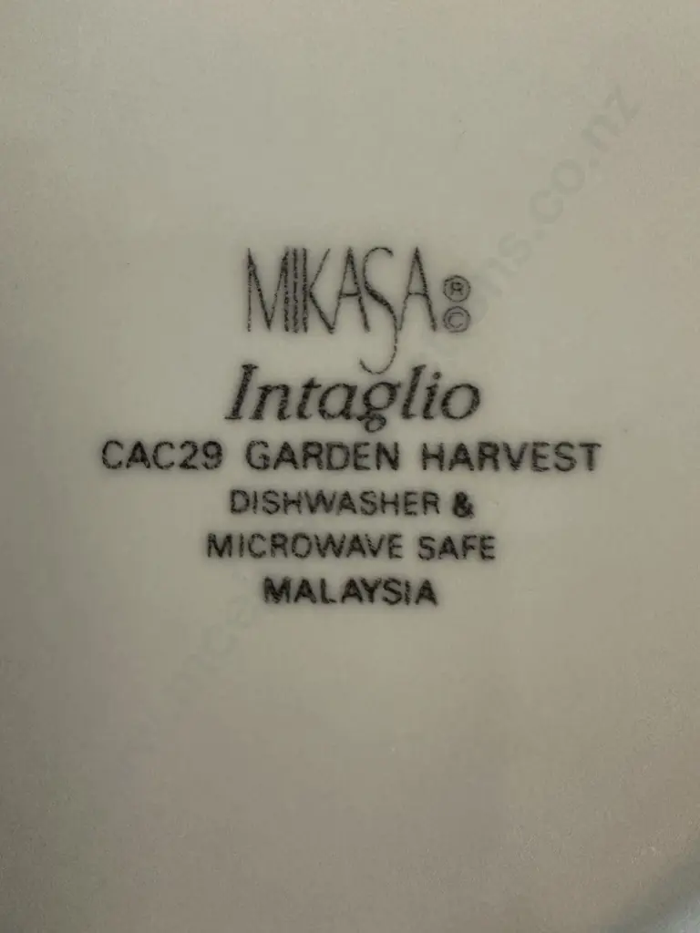 Mikasa Intaglio Garden Harvest Dinner Ware 38 Pieces CAC29 Image 1++