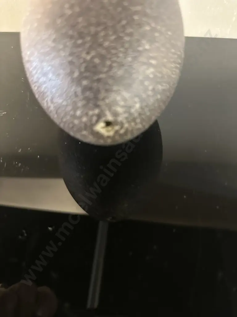 Vintage Emu Egg Image 1++