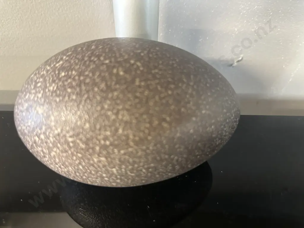 Vintage Emu Egg Image 1++