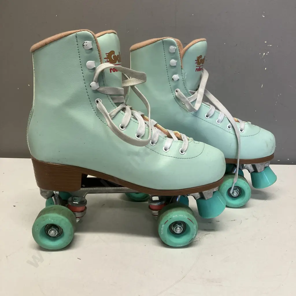 Gallaz Biarritz Roller Skates Size UK8 Image 1++